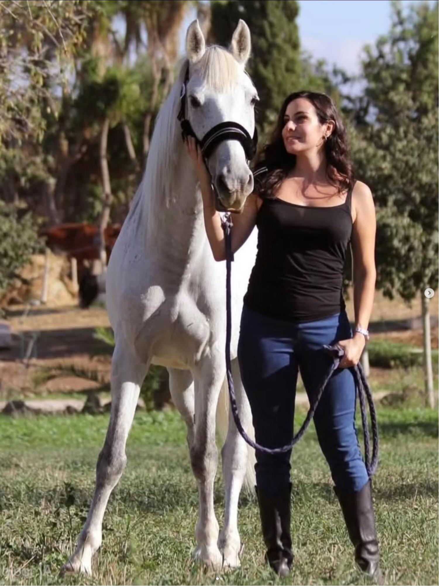 Momento Equus 2